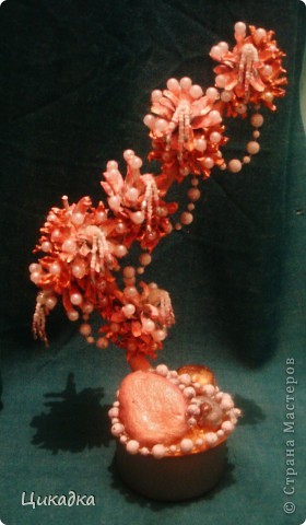 ������� ������� �������� ���������� ������� ����� ���� 5