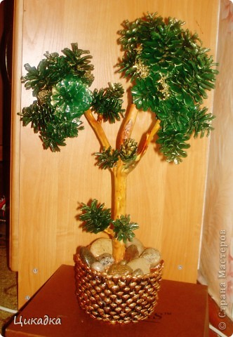 ������� ������� ������ ������� ������ ������� ��� ������ ����� ���� 3