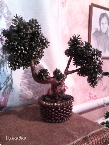 ������� ������� ������ ������� ������ ������� ��� ������ ����� ���� 4