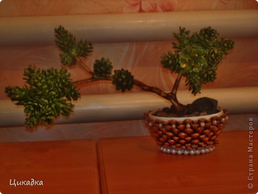 ������� ������� ������ ������� ������ ������� ��� ������ ����� ���� 5