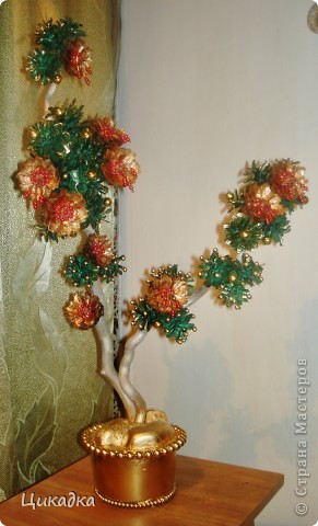 ������� ������� ������������ � ������������� ����� ���� 1