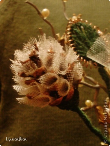 ������� ������� �� ����� ����� �� �����   ����� ���� 4