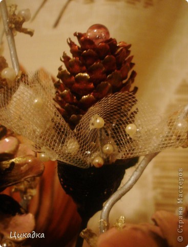 ������� ������� �� ����� ����� �� �����   ����� ���� 6