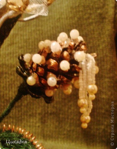 ������� ������� �� ����� ����� �� �����   ����� ���� 5