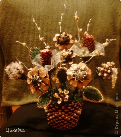 ������� ������� �� ����� ����� �� �����   ����� ���� 3