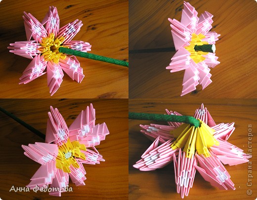 Мастер-класс 8 марта Оригами китайское модульное Космеи цветы из модулей Бумага фото 8