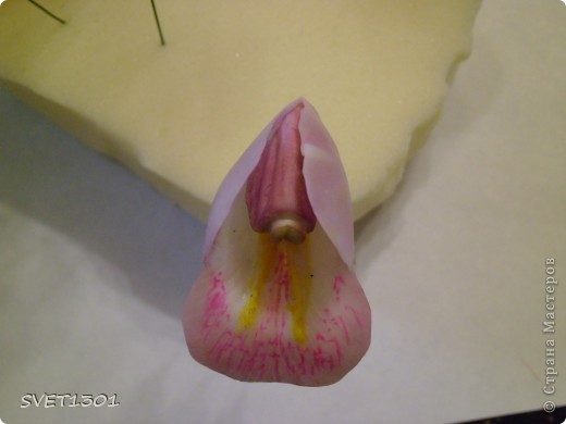 Мастер-класс 8 марта День рождения Лепка Орхидея цимбидиум МК Фарфор холодный фото 14