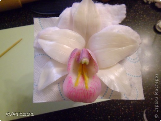 Мастер-класс 8 марта День рождения Лепка Орхидея цимбидиум МК Фарфор холодный фото 17