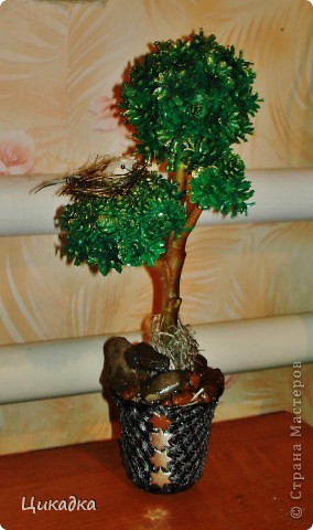 ������� ������� ���� �������� ������������� ��������������� ����������� ������� � ������� ����� ���� 2