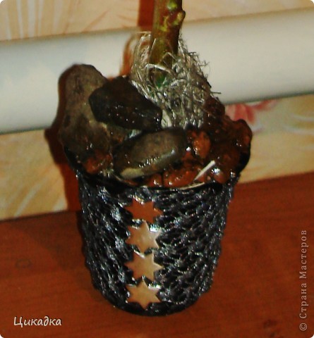 ������� ������� ���� �������� ������������� ��������������� ����������� ������� � ������� ����� ���� 4