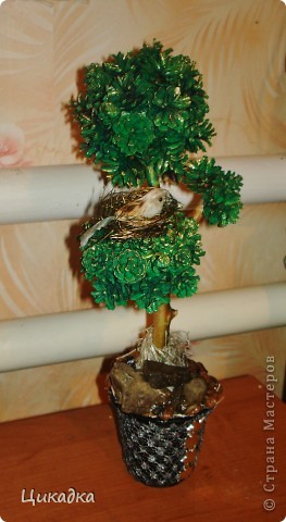 ������� ������� ���� �������� ������������� ��������������� ����������� ������� � ������� ����� ���� 1