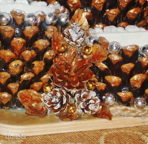 ������� ������� ��������� ����� �������� ����������� �������� ��������� ����� ���� 5