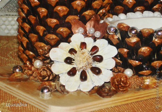 ������� ������� ��������� ����� �������� ����������� �������� ��������� ����� ���� 7