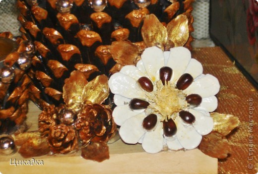 ������� ������� ��������� ����� �������� ����������� �������� ��������� ����� ���� 3