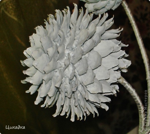 ������ �������� ������������� ��������������� ������-��� ��� ��� ���� ����� �� ����� ���� 3