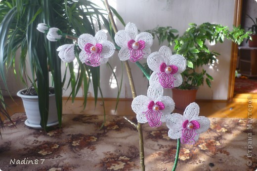 Бисероплетение - орхидея 2 из бисера.