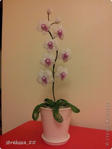 Источник.  MirBisera.com.  Орхидея из бисера белая.  Статьи по теме.