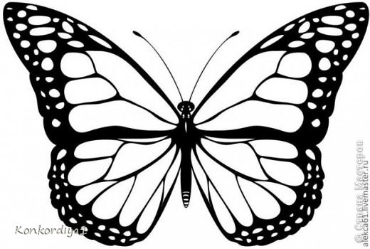 Поделка изделие Вырезание Бабочки Бумага фото 8