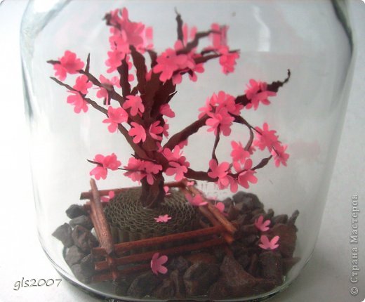 ������� ������� �������� ��� ��� � ������ ���� �� ����� ���������� ������ ���� 2