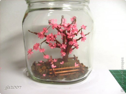 ������� ������� �������� ��� ��� � ������ ���� �� ����� ���������� ������ ���� 6