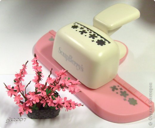 ������� ������� �������� ��� ��� � ������ ���� �� ����� ���������� ������ ���� 8