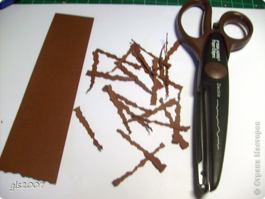 ������� ������� �������� ��� ��� � ������ ���� �� ����� ���������� ������ ���� 11