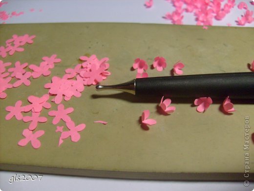 ������� ������� �������� ��� ��� � ������ ���� �� ����� ���������� ������ ���� 10