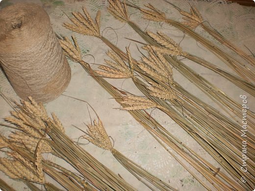 Мастер-класс Оберег Плетение Дидух из колосков пшеницы Материал природный Шпагат фото 3