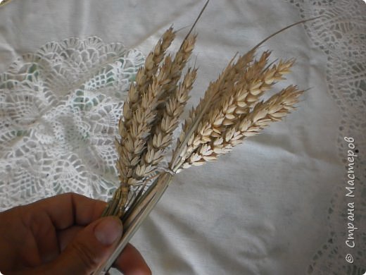 Мастер-класс Оберег Плетение Дидух из колосков пшеницы Материал природный Шпагат фото 5