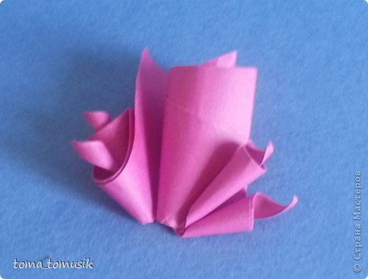 Мастер-класс Упаковка Начало учебного года Оригами Подарки первоклассникам Бумага фото 46