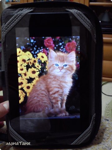 ������-����� ������� ������� ����� ��������� ����� ���� ������ �������� ���� 3