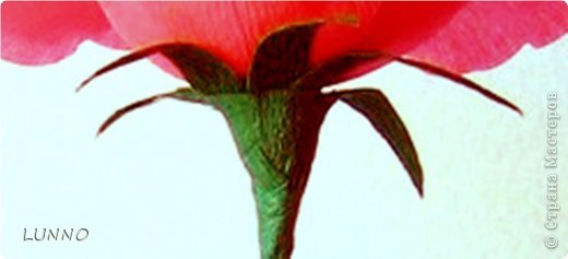 Мастер-класс Поделка изделие Моделирование конструирование «Аленький цветочек из креповой бумаги» Бумага гофрированная фото 8