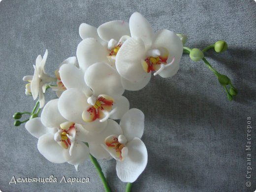 Орхидея мастер класс полимерная глина