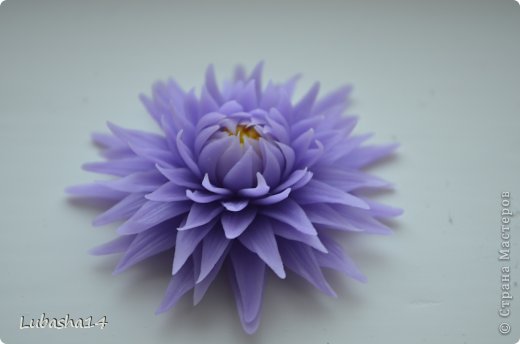 Мастер-класс Флористика Лепка Хризантема из холодного фарфора Фарфор холодный фото 1