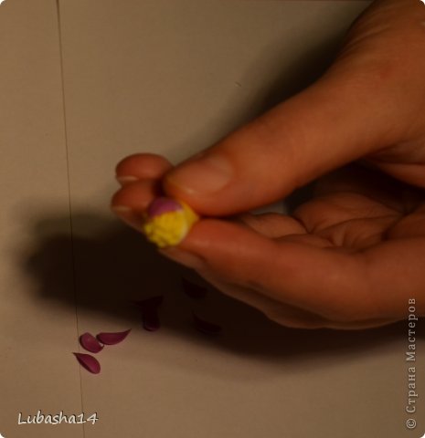 Мастер-класс Флористика Лепка Хризантема из холодного фарфора Фарфор холодный фото 13