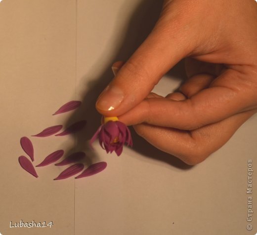 Мастер-класс Флористика Лепка Хризантема из холодного фарфора Фарфор холодный фото 20