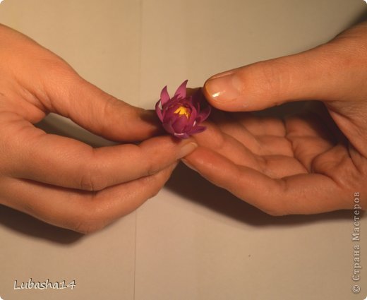Мастер-класс Флористика Лепка Хризантема из холодного фарфора Фарфор холодный фото 21