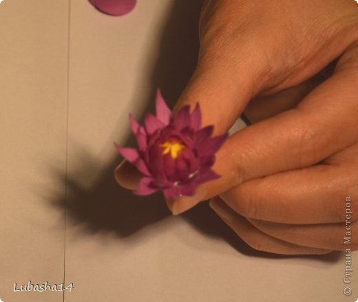 Мастер-класс Флористика Лепка Хризантема из холодного фарфора Фарфор холодный фото 22