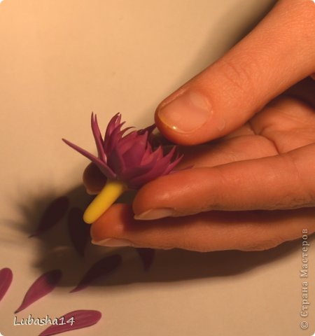 Мастер-класс Флористика Лепка Хризантема из холодного фарфора Фарфор холодный фото 23