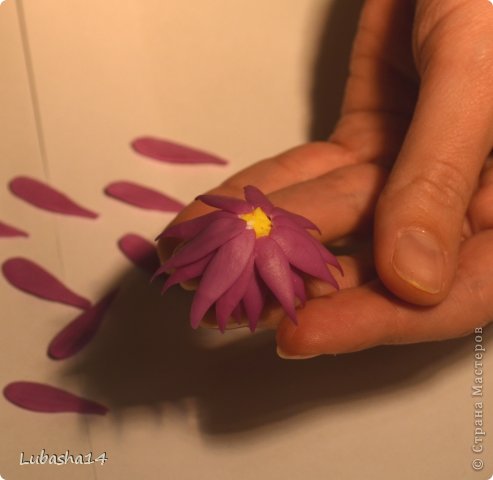 Мастер-класс Флористика Лепка Хризантема из холодного фарфора Фарфор холодный фото 29