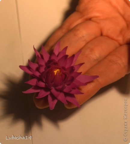 Мастер-класс Флористика Лепка Хризантема из холодного фарфора Фарфор холодный фото 30