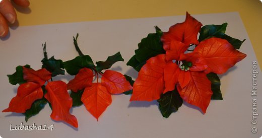 Мастер-класс Флористика Новый год Лепка Рождественский цветок пуансетия из холодного фарфора Фарфор холодный фото 40