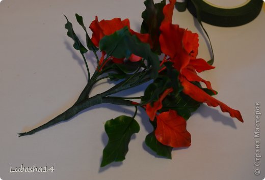 Мастер-класс Флористика Новый год Лепка Рождественский цветок пуансетия из холодного фарфора Фарфор холодный фото 41