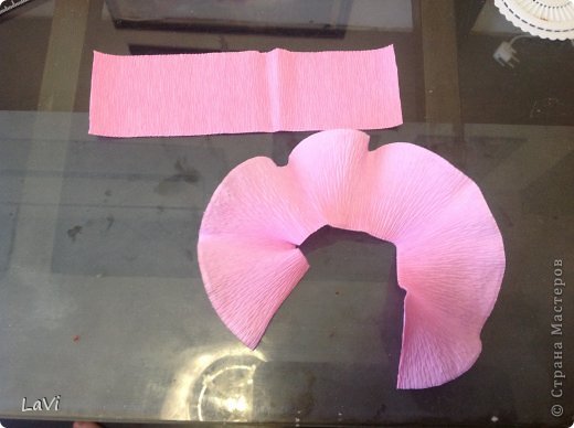 ����-������ 8 ����� ���� �������� �������������� Asti � ������� � ��������� �� ������ ������������� ���� 34