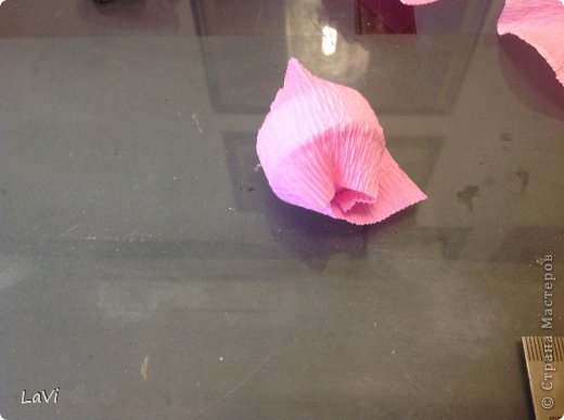 ����-������ 8 ����� ���� �������� �������������� Asti � ������� � ��������� �� ������ ������������� ���� 38