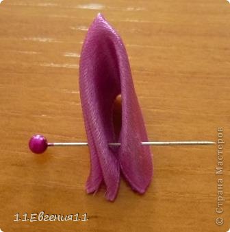 ������-����� ������ ������� ������� ����� ���� 5