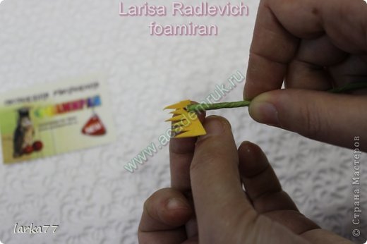 ������-����� ���������� ������������� ��������������� �� ������� �� ��� ��� �������� �������� ��� ���� 10