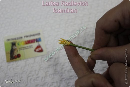 ������-����� ���������� ������������� ��������������� �� ������� �� ��� ��� �������� �������� ��� ���� 11