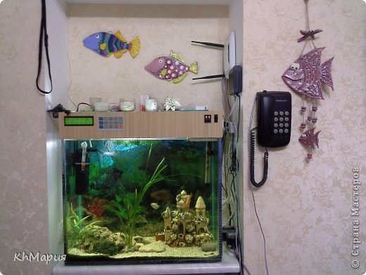 ������-����� ������� ������� ������� �������� ���� �� ���� ������ ���� 11