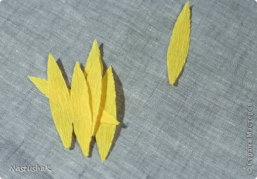 ������-����� ����-������ ������������� ��������������� ��� ������� �������� ������ ������������� ���� 6